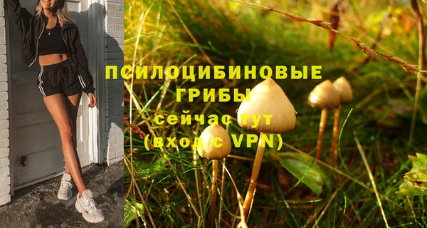 a pvp Алзамай