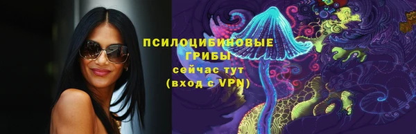 МДПВ Абаза