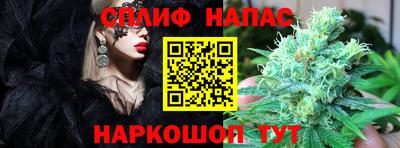 гидра Заволжье