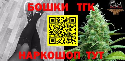 гидра Заволжье