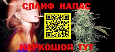 гидра Заводоуковск