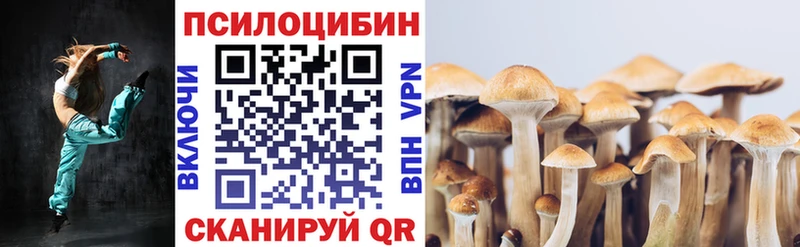 Галлюциногенные грибы мицелий гидра зеркало Шатура
