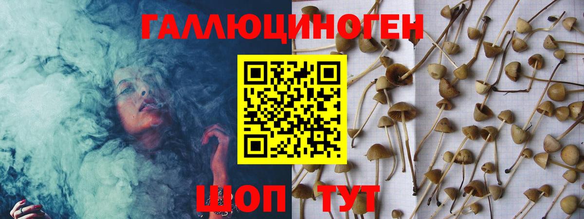 Галлюциногенные грибы мухоморы  Галлюциногенные грибы мухоморы  Шатура  Вход с VPN 